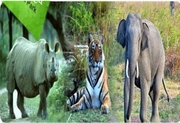 Go For National Parks in India