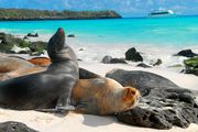 Galapagos Tours