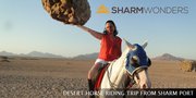 Excursions from sharm el sheikh | Excursions in sharm el sheikh