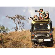 Safari Tours Africa